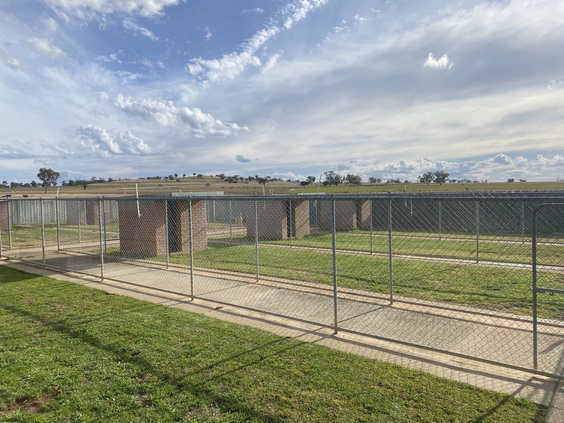 Dog Boarding Kennels Tamworth Precious Pets Boarding Kennels