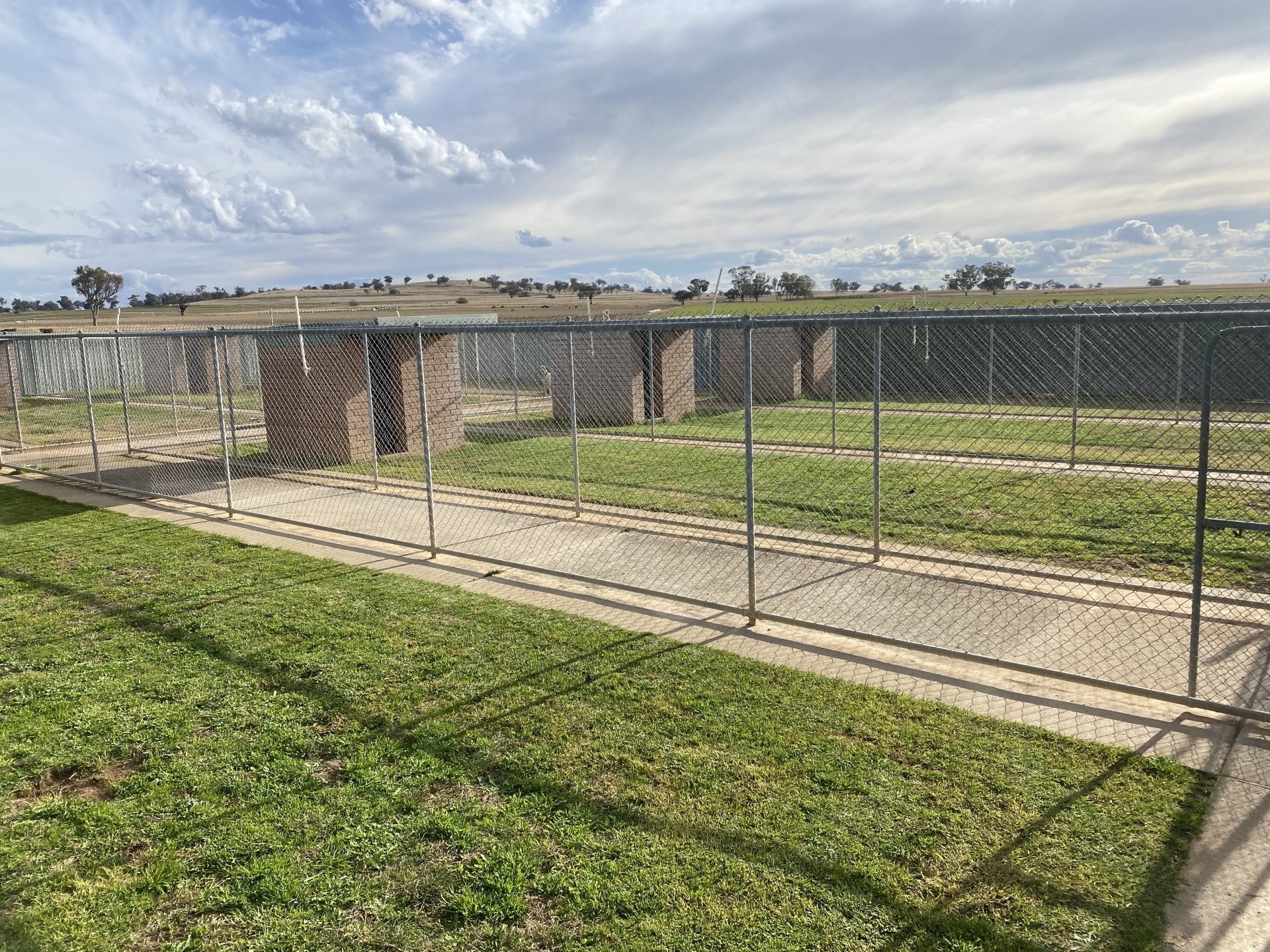 Dog Boarding Kennels Tamworth Precious Pets Boarding Kennels