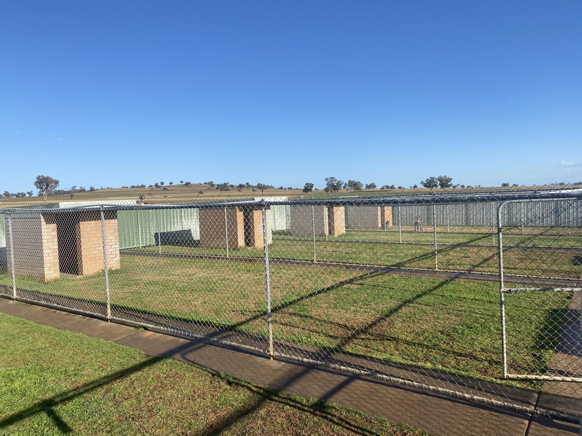 Dog Boarding Kennels Tamworth Precious Pets Boarding Kennels
