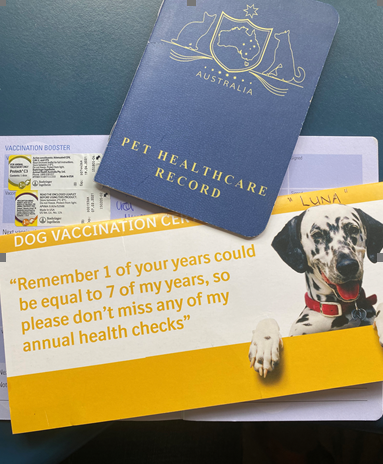 Young Female Vet Doctor Holding An Injection For A Little Puppy - Tamworth - Precious Pets Boarding Kennels & Cattery Centre