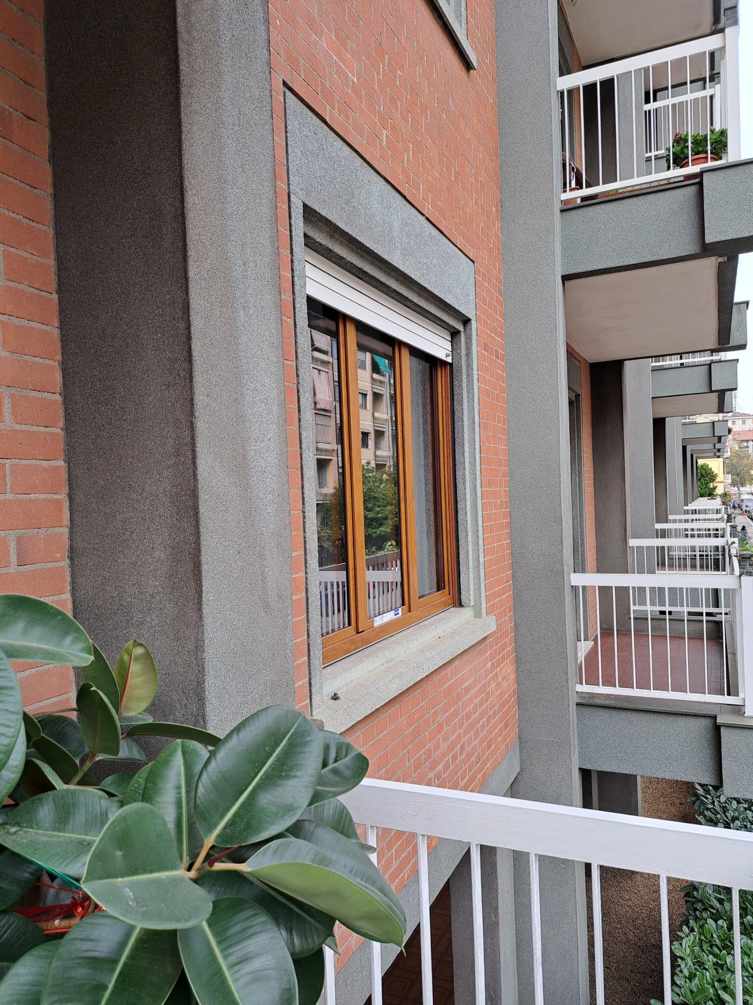 Esterno di un edificio in mattoni con finestra, balcone e grande pianta frondosa in primo piano.