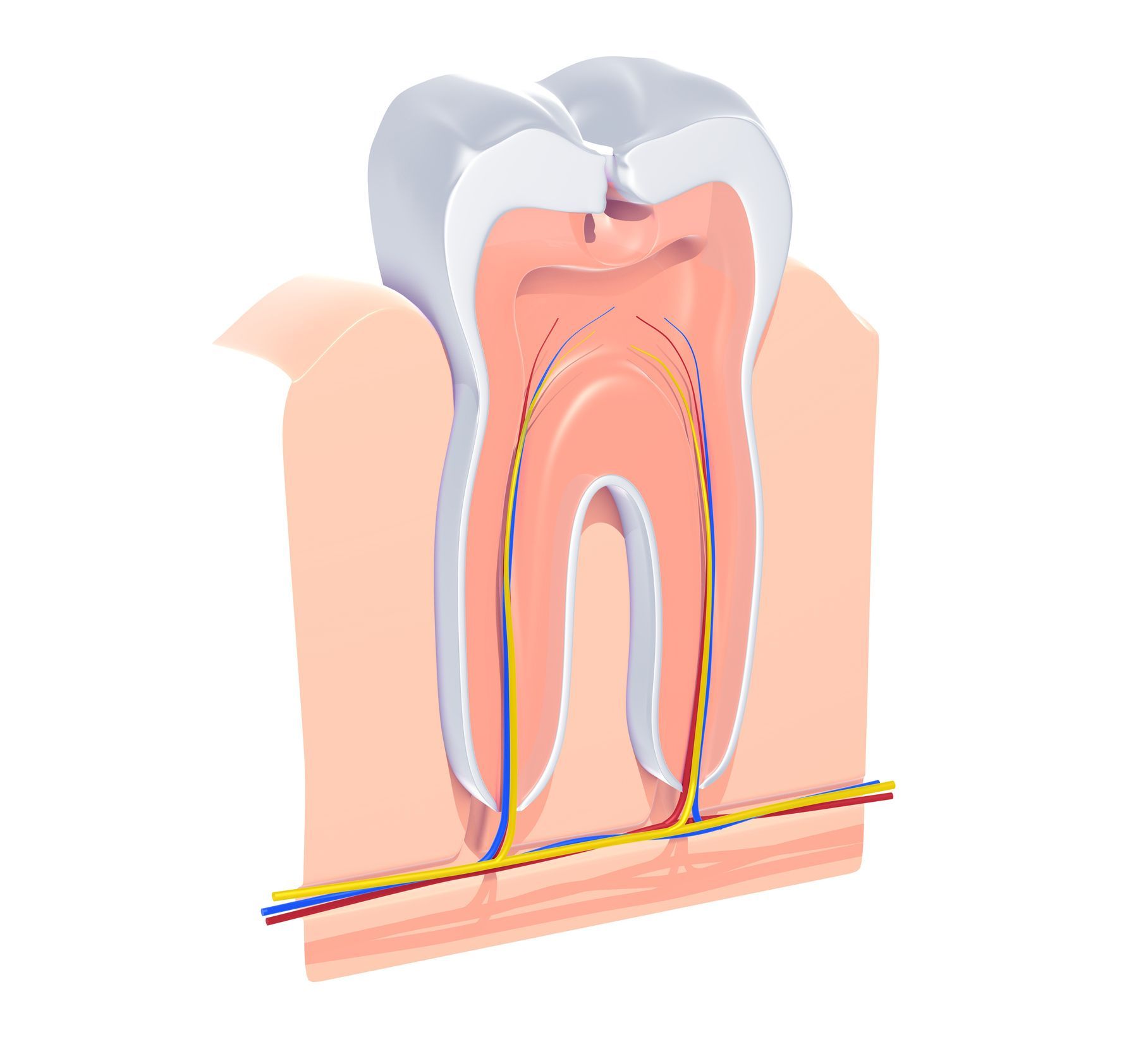 Zoom Teeth Whitening Westdale South | Child Friendly Dentist Westdale South