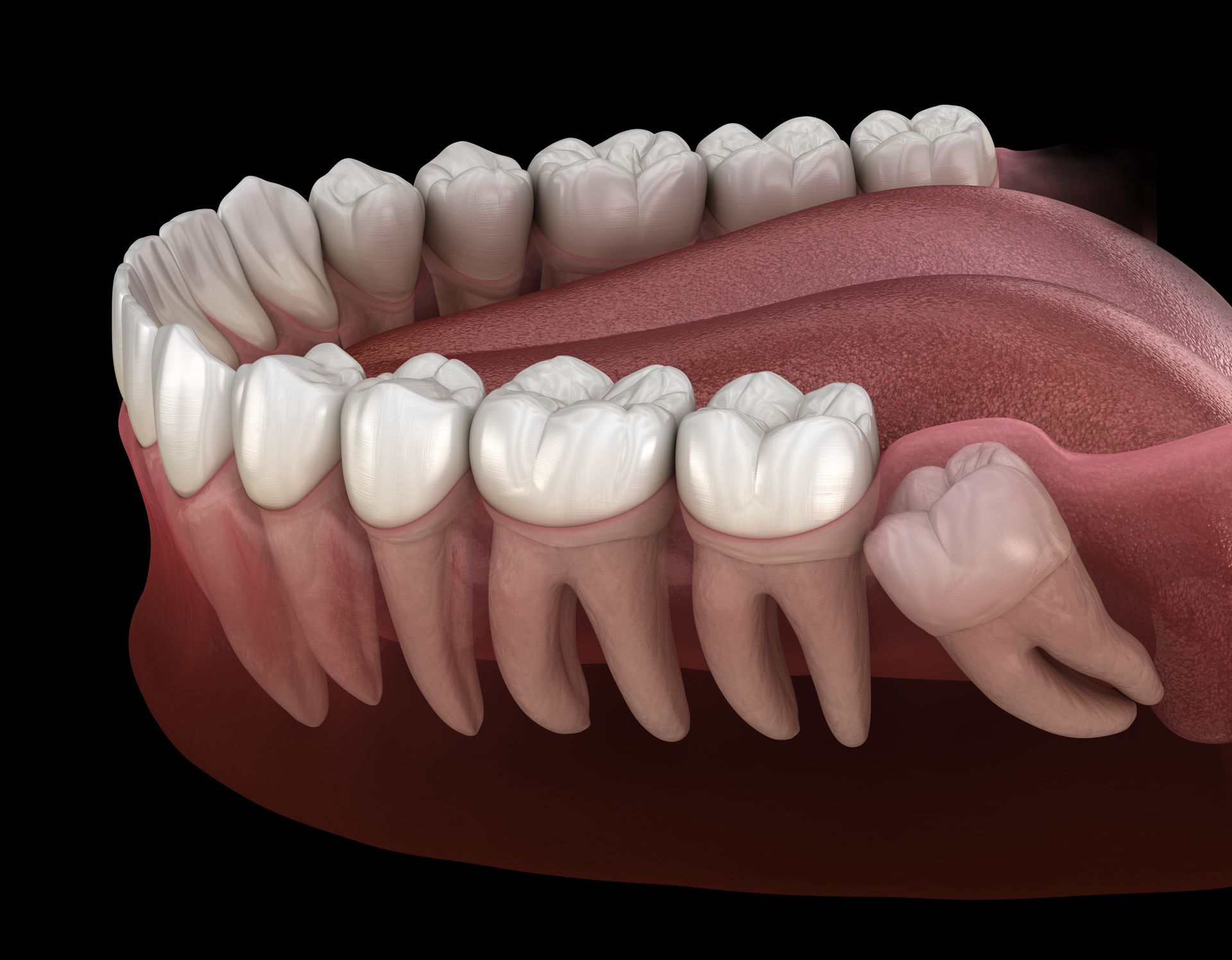 Dentistry Kirkendall North | Dentist Kirkendall North