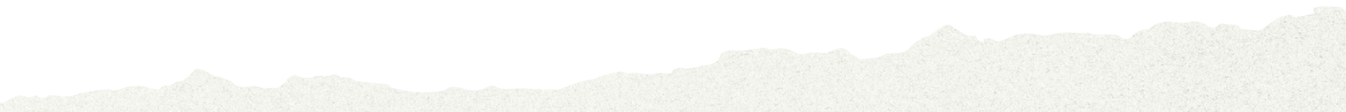 svg shape footer