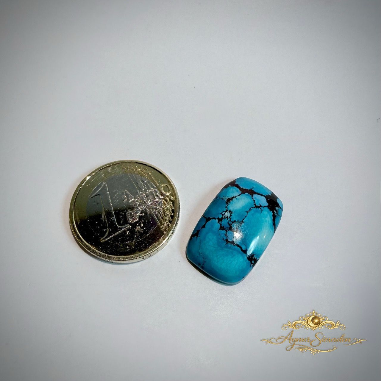 Een ronde, donkere steen en een turkooizen cabochon op een witte ondergrond, met een klein gouden decoratief element.
