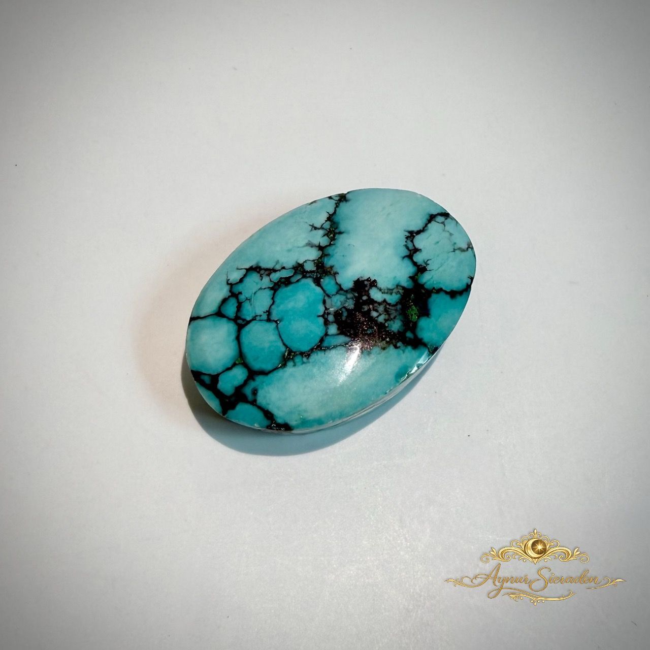 Ovale turkooizen cabochon edelsteen met zwarte aderen op een witte achtergrond