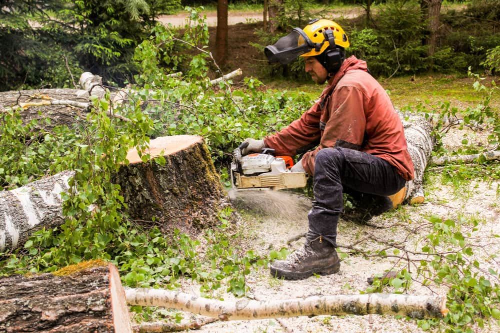 A Man Is Cutting A Tree Stump With A Chainsaw — Brown's Vegetation Management In Mulara, QLD