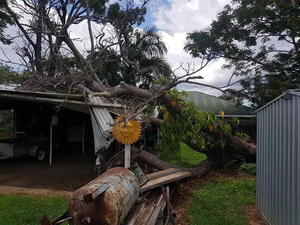 A Large Tree Has Fallen On Top Of A House — Brown's Vegetation Management In Mulara, QLD
