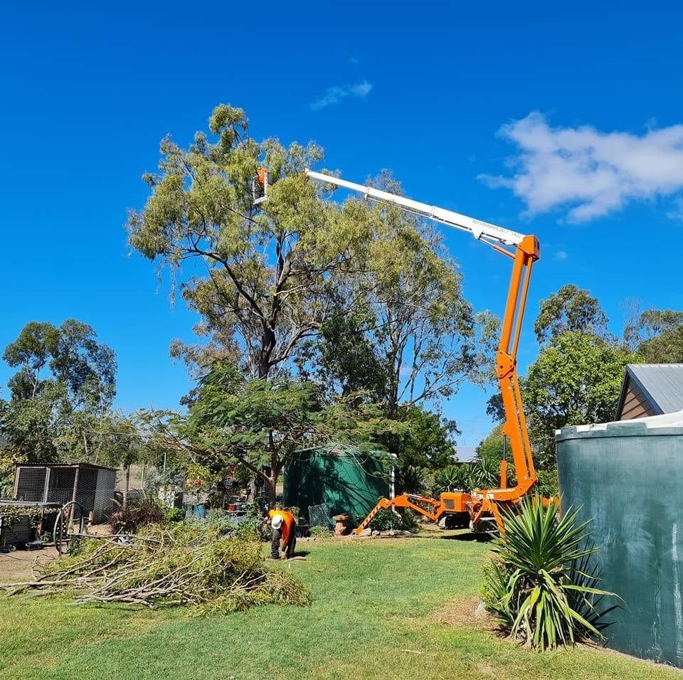 Backyard with Ongoing Tree Maintenance in Rockhampton