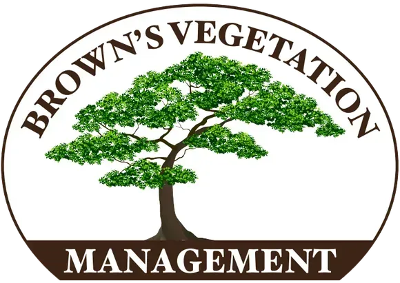 Tree Removal & Tree Lopping Rockhampton Tree Removal & Tree Lopping Rockhampton
