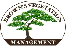 Tree Removal & Tree Lopping Rockhampton Tree Removal & Tree Lopping Rockhampton
