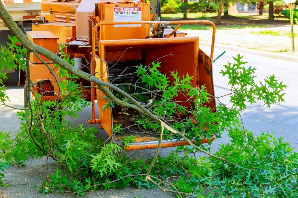 A Tree Is Being Chipped By A Machine On The Side Of The Road — Brown's Vegetation Management In Mulara, QLD