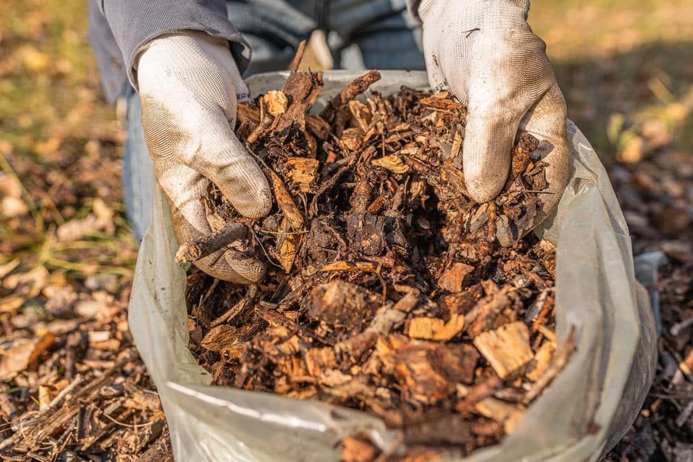 A Person Is Holding A Bag Of Mulch In Their Hands — Brown's Vegetation Management In Mulara, QLD