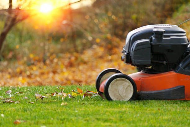 A lawn mower is sitting on top of a lush green lawn.