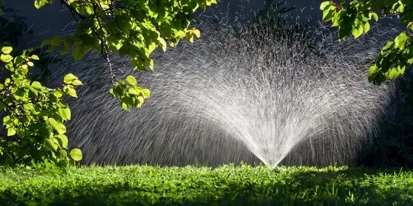 A sprinkler is spraying water on a lush green field.