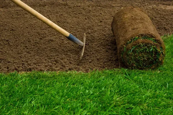 A rake is laying on top of a roll of turf.