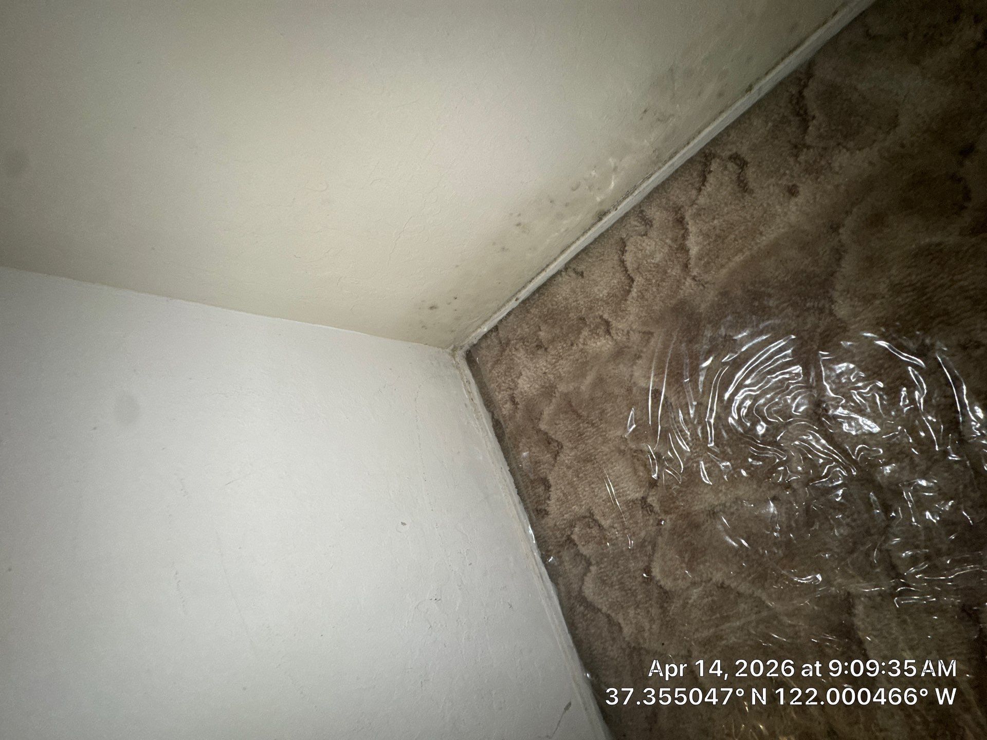 Corner of a room with white ceiling and wall, showing water damage and dark stained plaster.