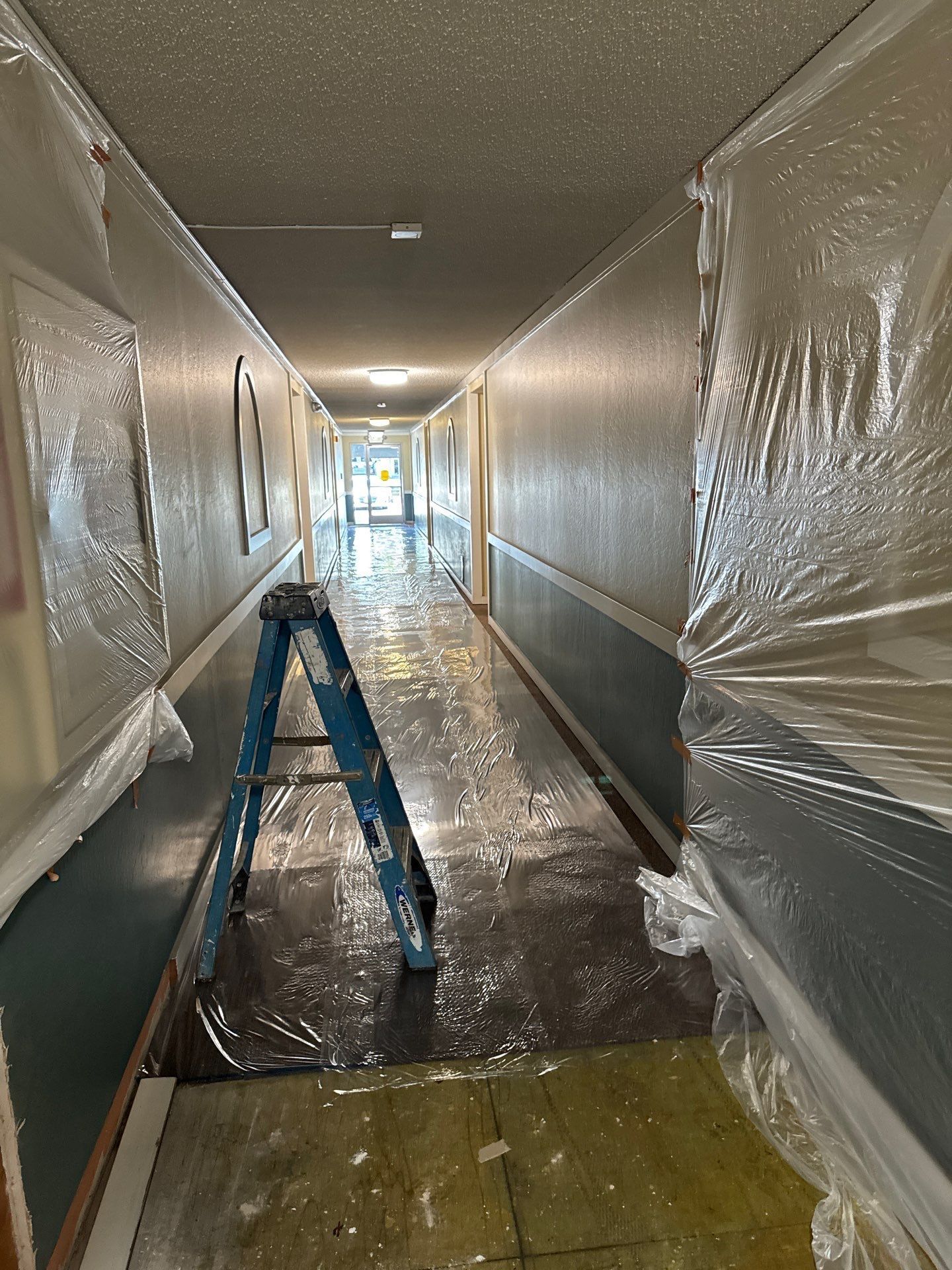 Plastic-covered hallway with a blue ladder and protective floor covering during renovation