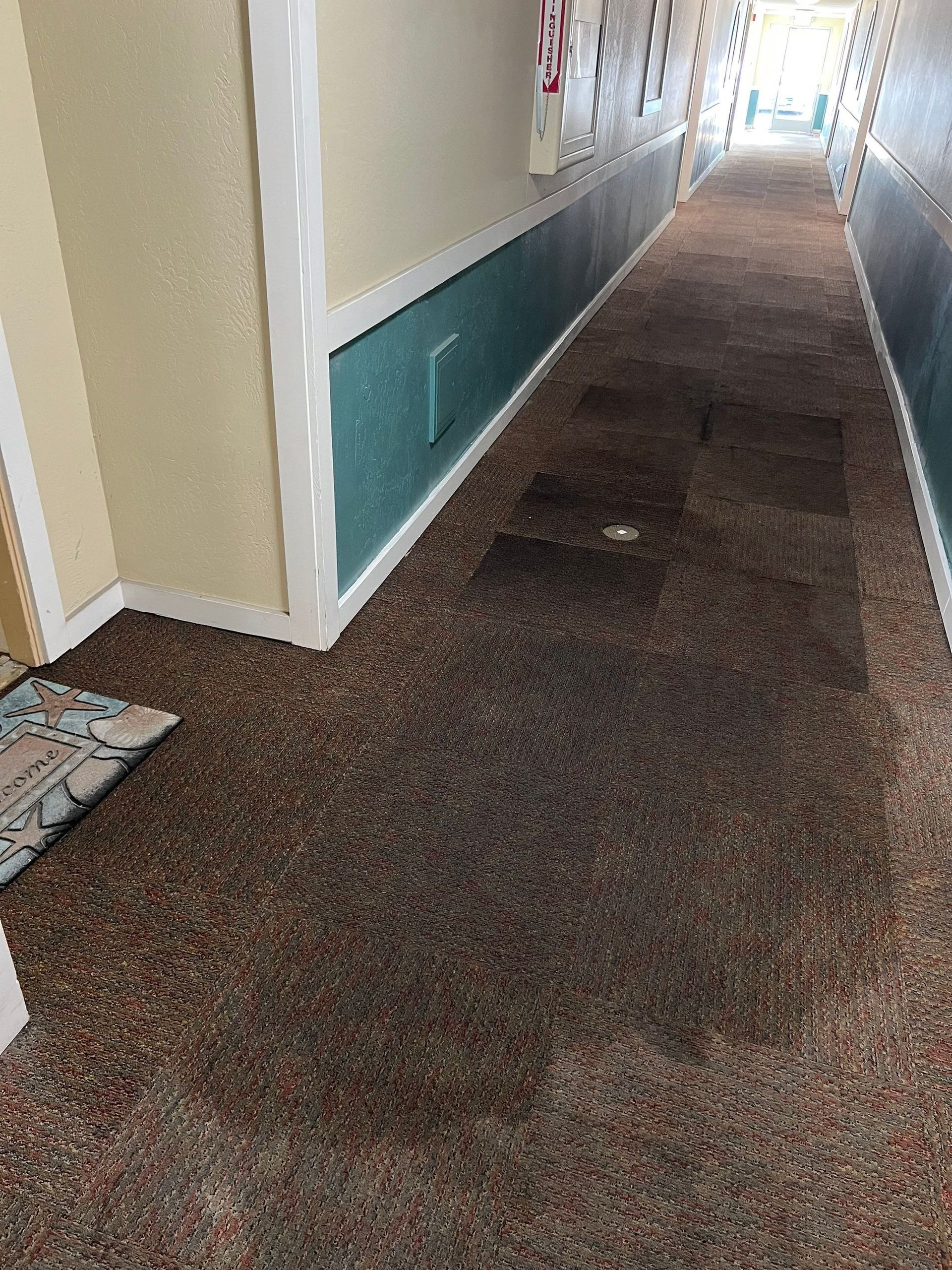Long hotel hallway with beige walls, brown carpet, and teal wall panels leading toward a bright window.