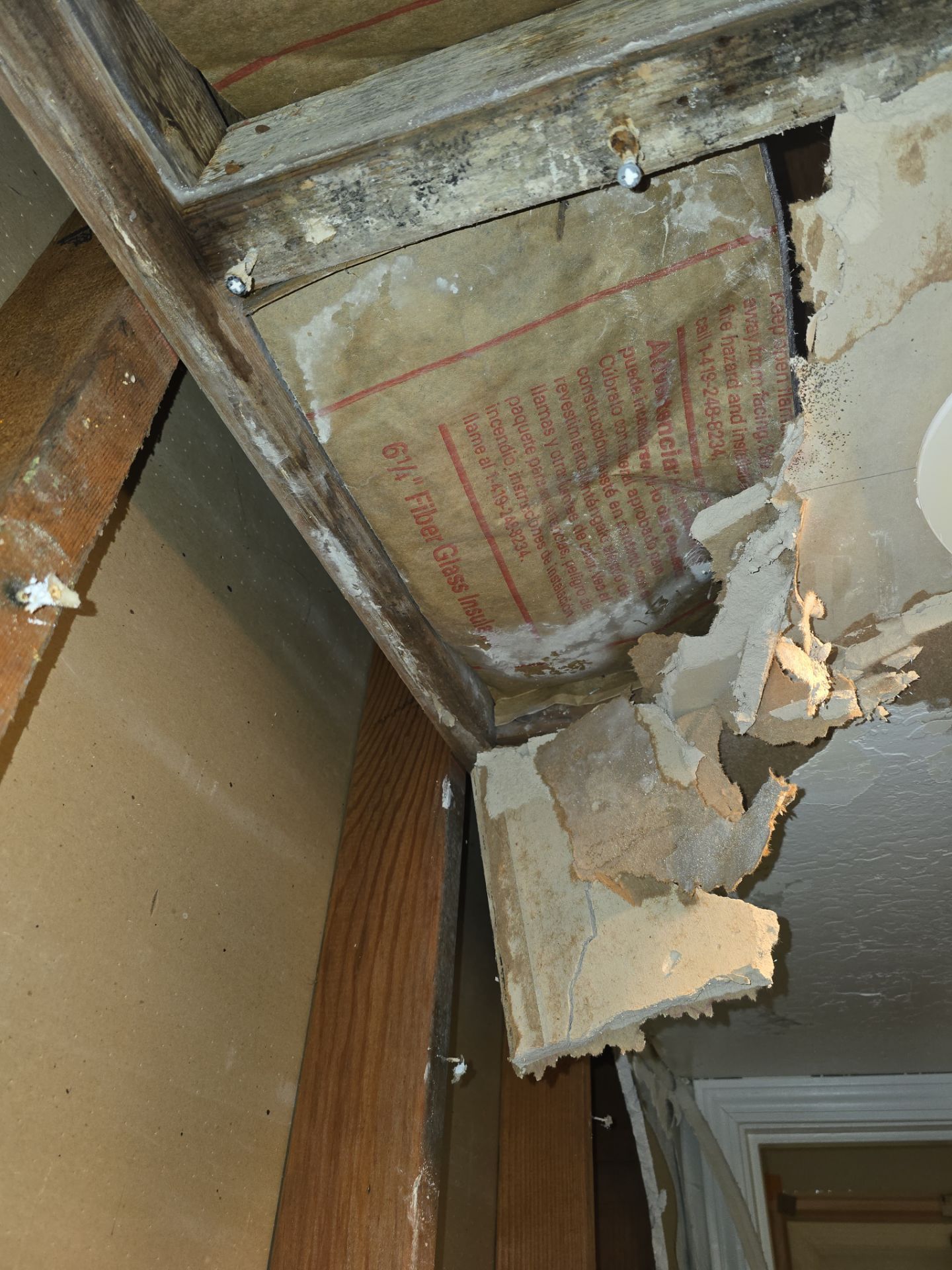 Water-damaged ceiling with peeling plaster and exposed insulation above a doorway
