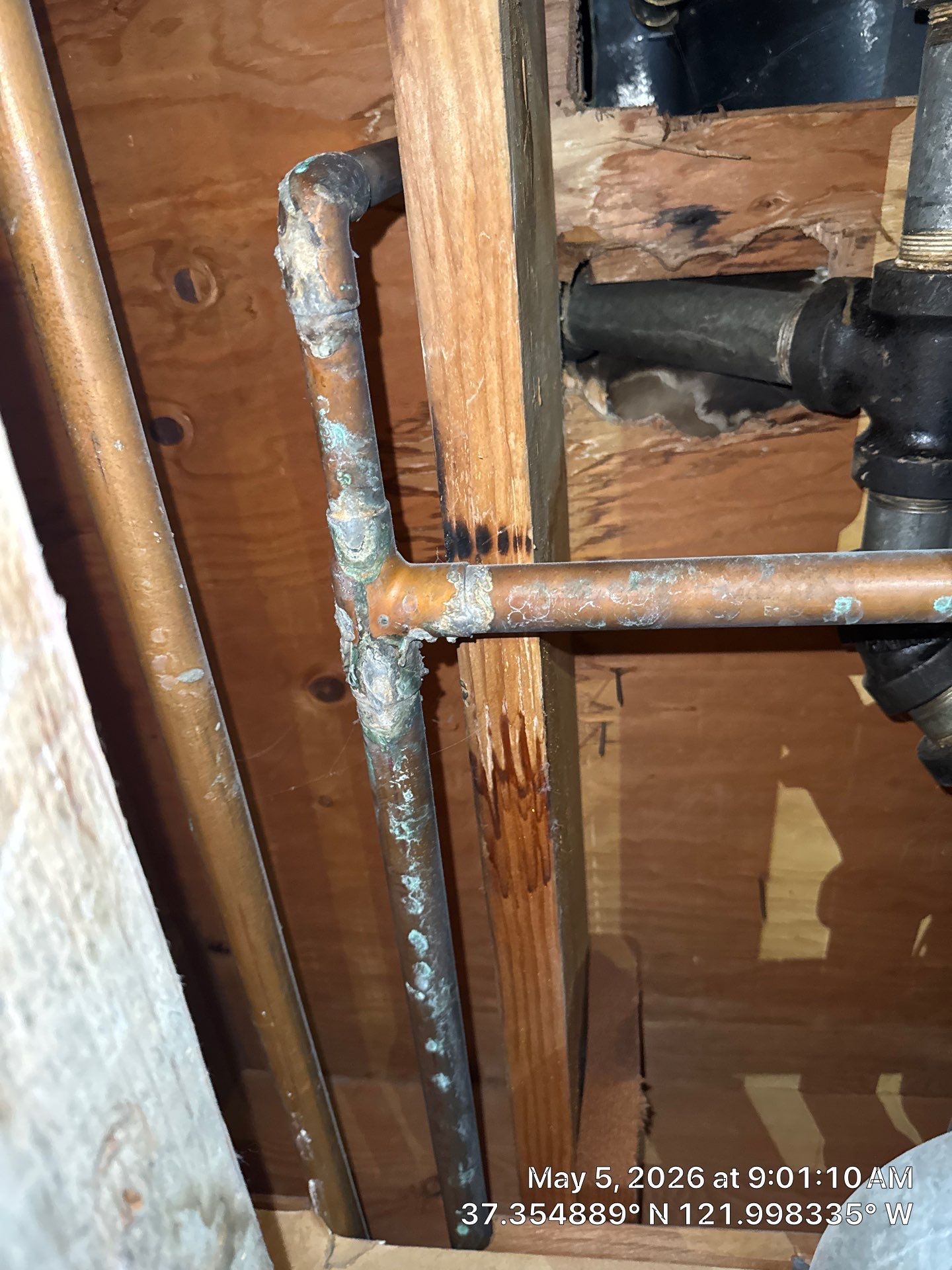 Close-up of corroded copper pipes and a damp wooden wall inside a cramped utility space