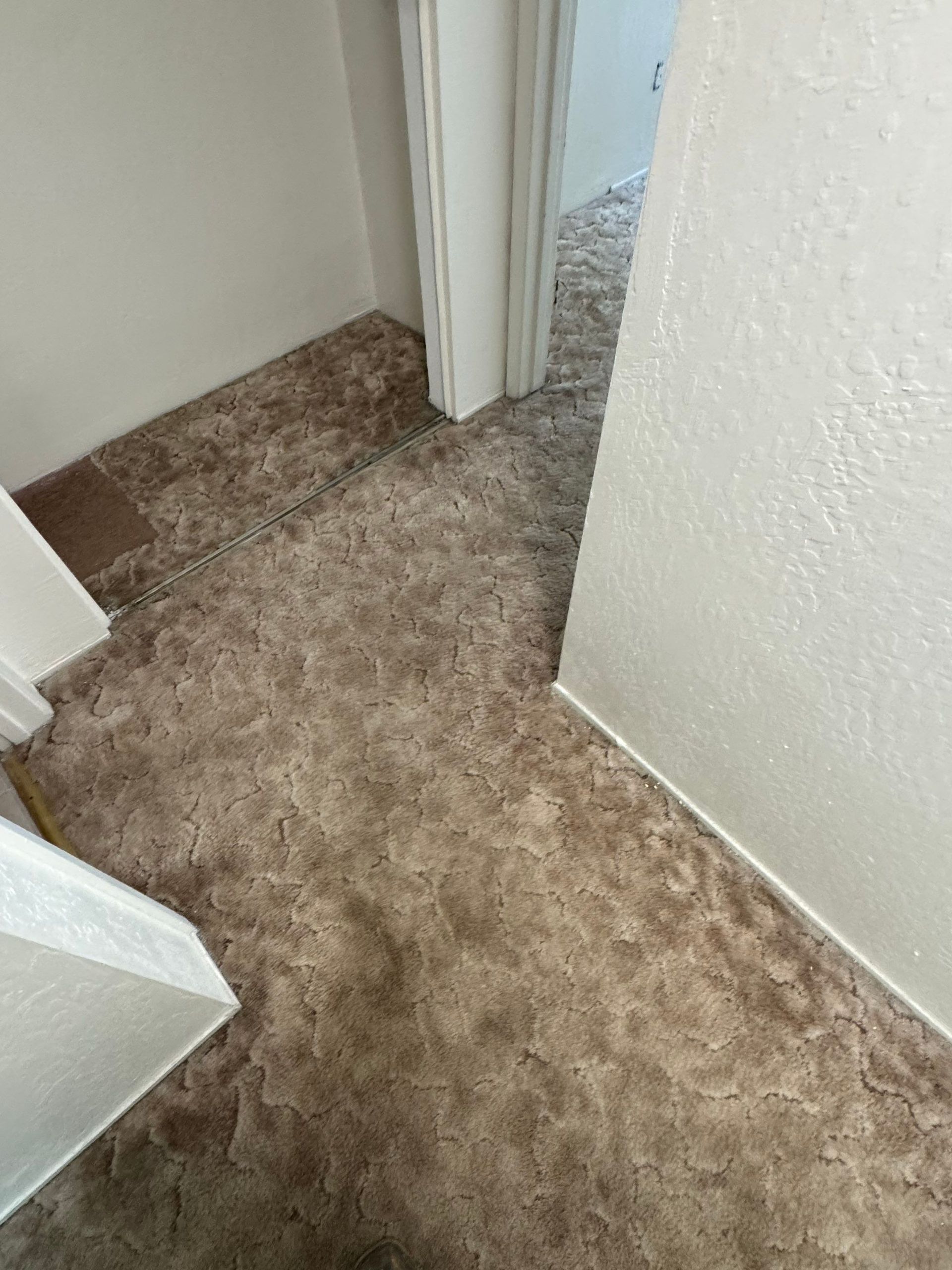 Carpeted hallway corner with beige walls and a doorway leading to a brighter room
