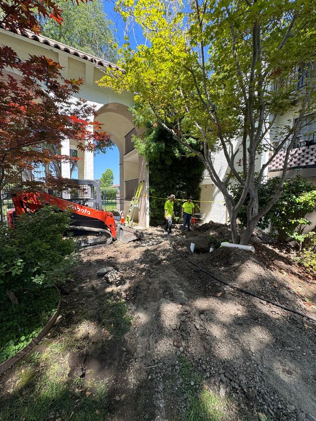 Residential yard with a red car, trees, and a shaded walkway beside a house