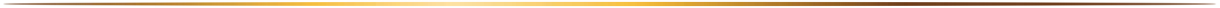 Black horizontal banner with a thin tan line and small reddish-brown mark at the top left