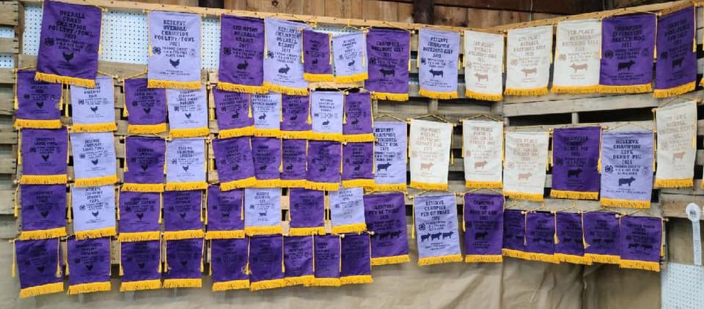 A wall display of numerous purple and white award banners with gold fringe hanging on a pegboard in a wood-paneled room.