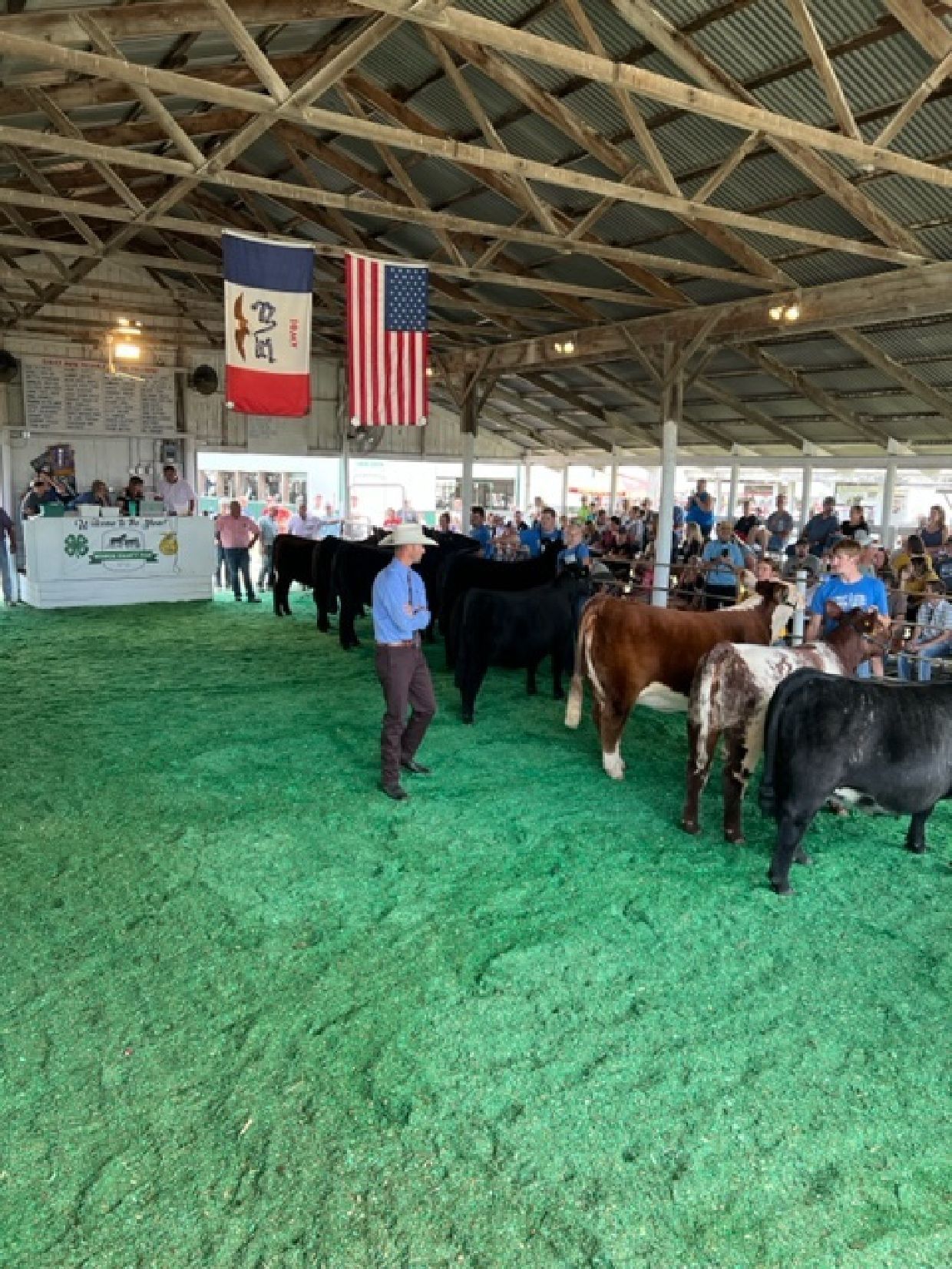 Participants in matching gray shirts lead and pose lambs in a sawdust-covered show ring before a crowd of spectators.