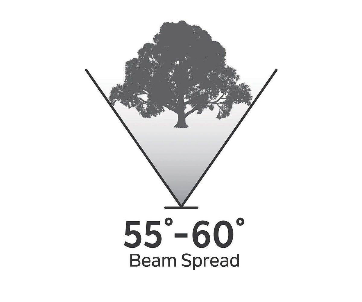 Design Tips for Landscape Lighting