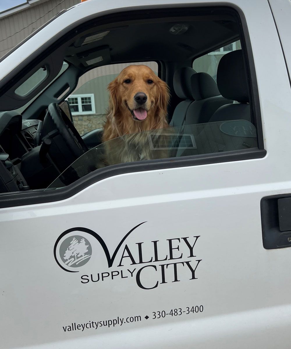 This is Pretzel and she's a very good girl.