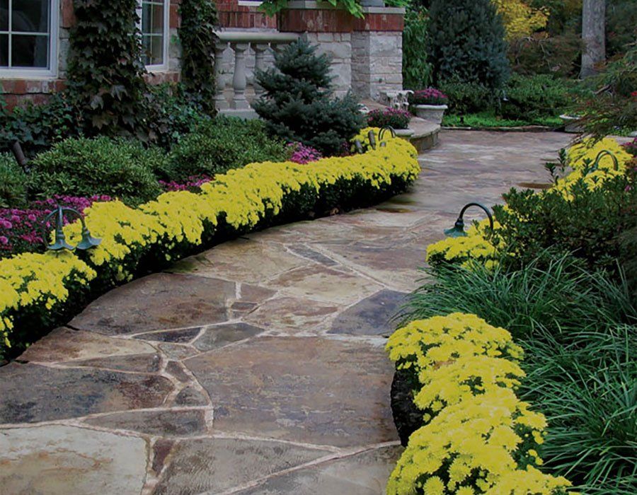 Black Hills Rustic Flagstone Natural Landscape Stone