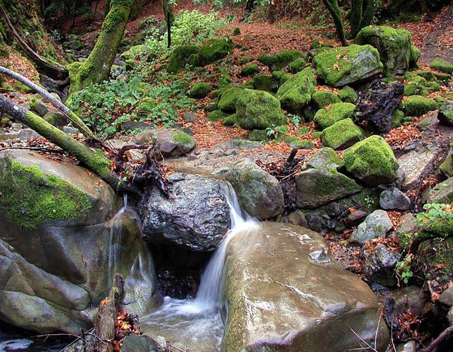 Natural top rock with moss near Mayfield stream