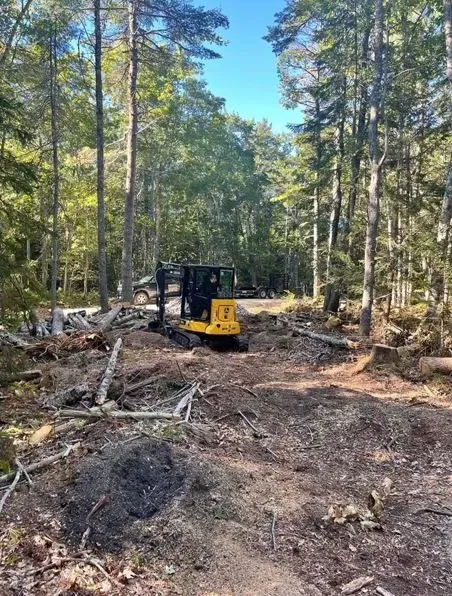 A small yellow excavator in a cleared forest area, surrounded by tree trunks and debris.