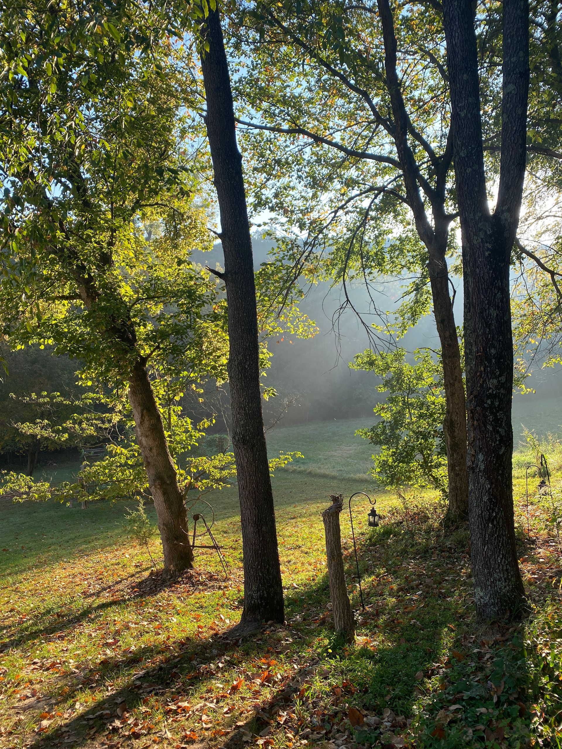 Nature's view from Stauder's rural Missouri atelier, highlighting light as her eternal muse.
