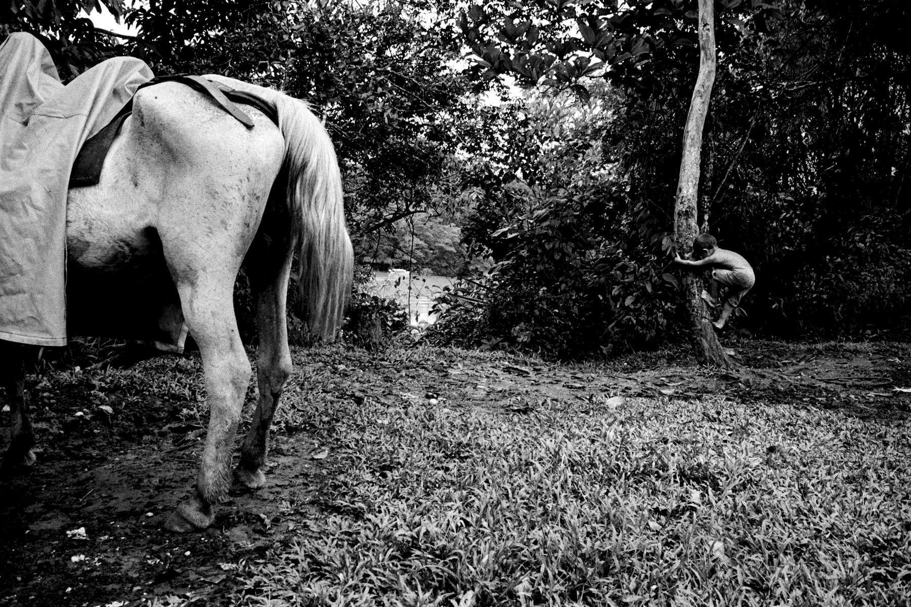  Hope & Despair / Rio Caguan Colombia / 2/25 / 900 USD 