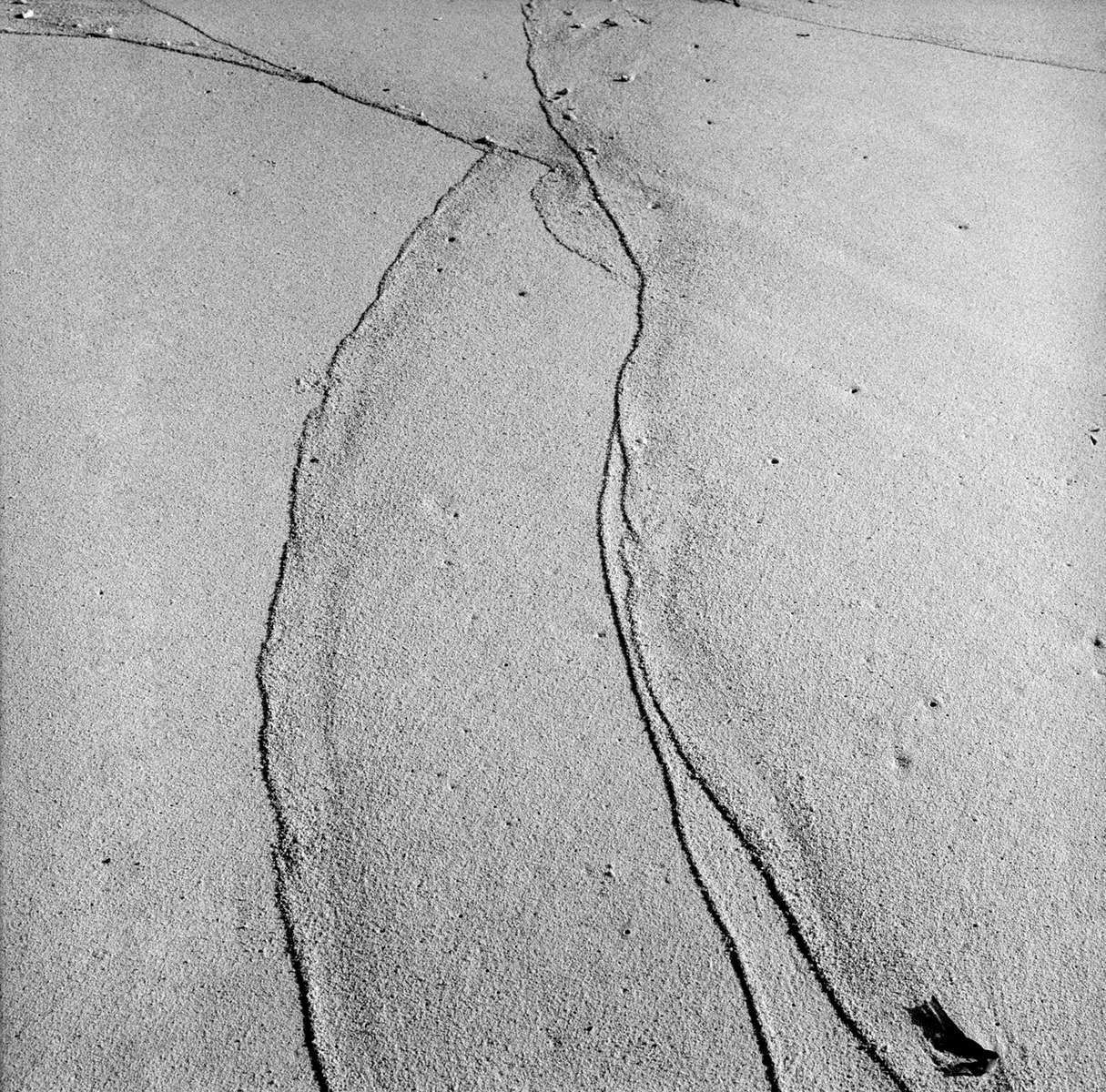  Shifting sands / Maldives / 1/25 / 800 USD 