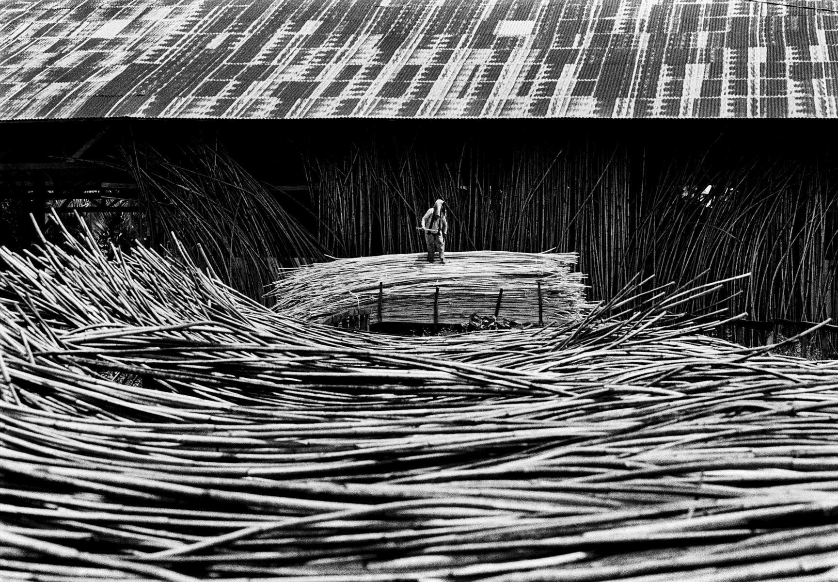  Sulawesi Rattan Factory / Indonesia / 1/25 / 800 USD 