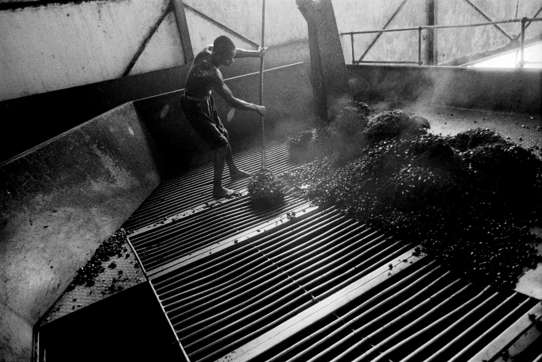 Palm Oil Steam / Imbolo DRC / 3/25 / 1200 USD 