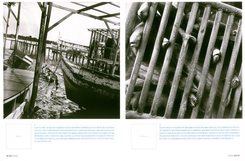 GEO latitude zero reportage 1c