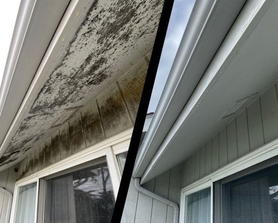 Moldy soffit and siding compared with cleaned white exterior trim side by side