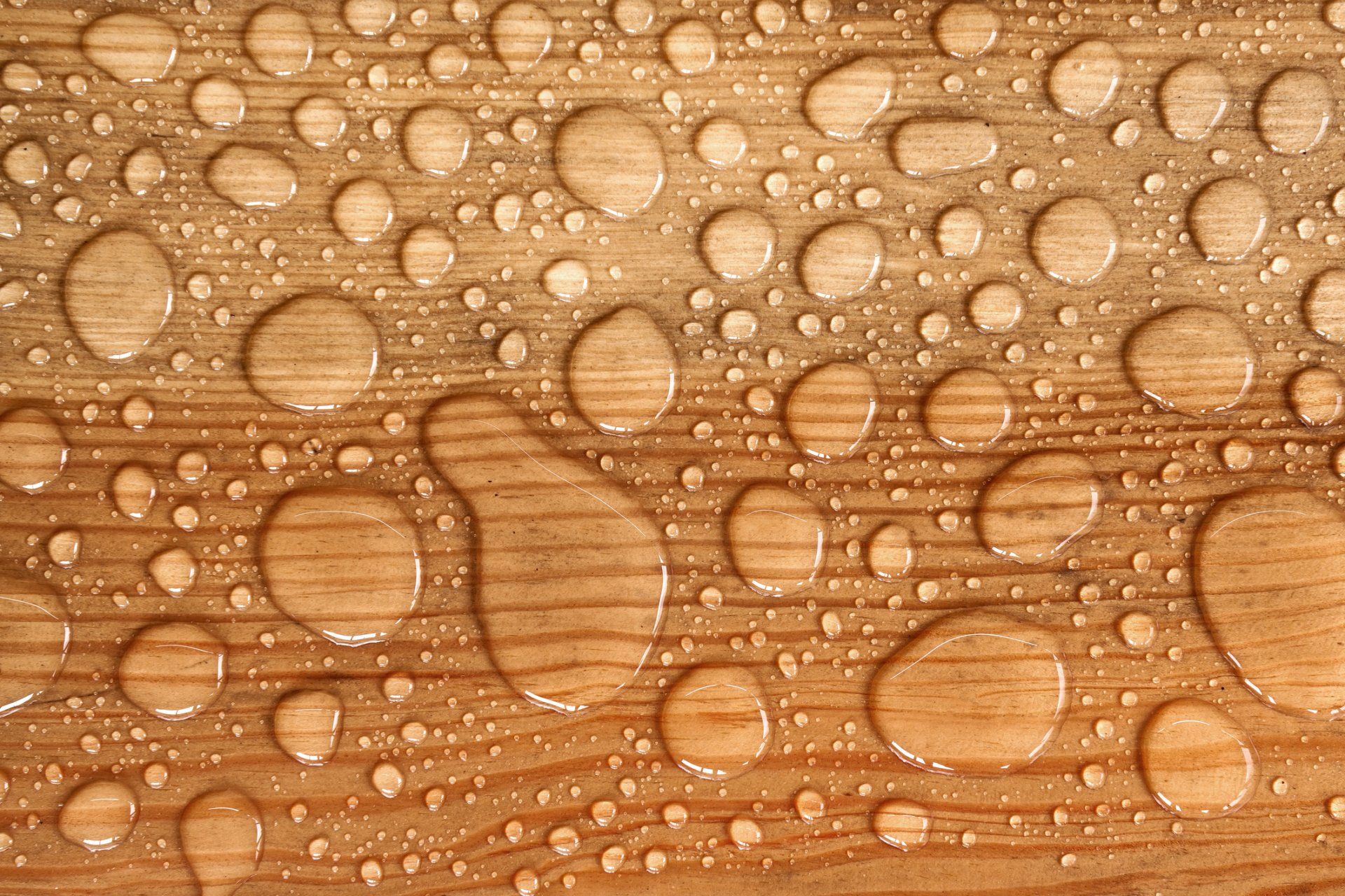 Waterproofing — Orlando, FL — Property Resource One LLC