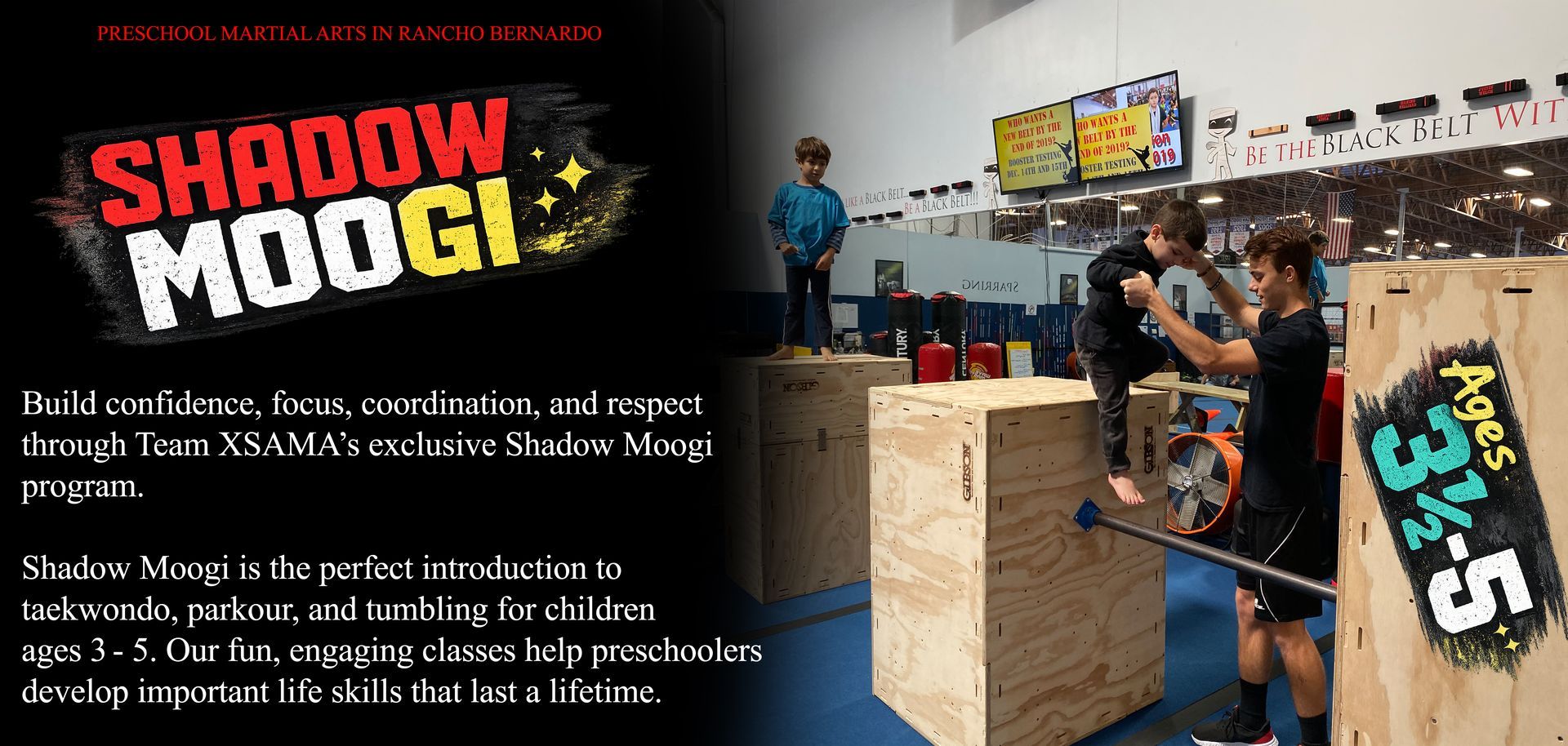 Preschool Taekwondo + Parkour + Hip Hop + Tumbling Ages 3–5 San Diego