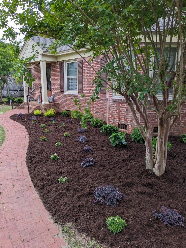 Brick house front yard with curved walkway, mulch beds, and small shrubs under a tree