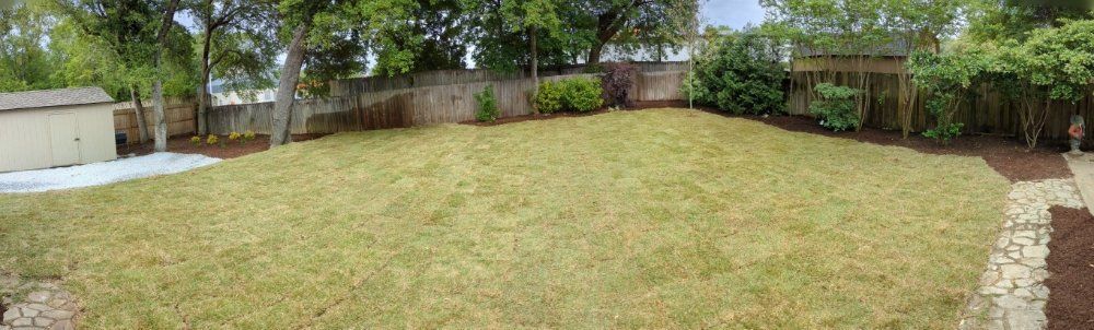 Wide backyard lawn with a stone patio, trees, and a wooden fence in bright daylight
