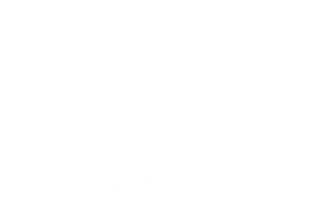logo DFS wit