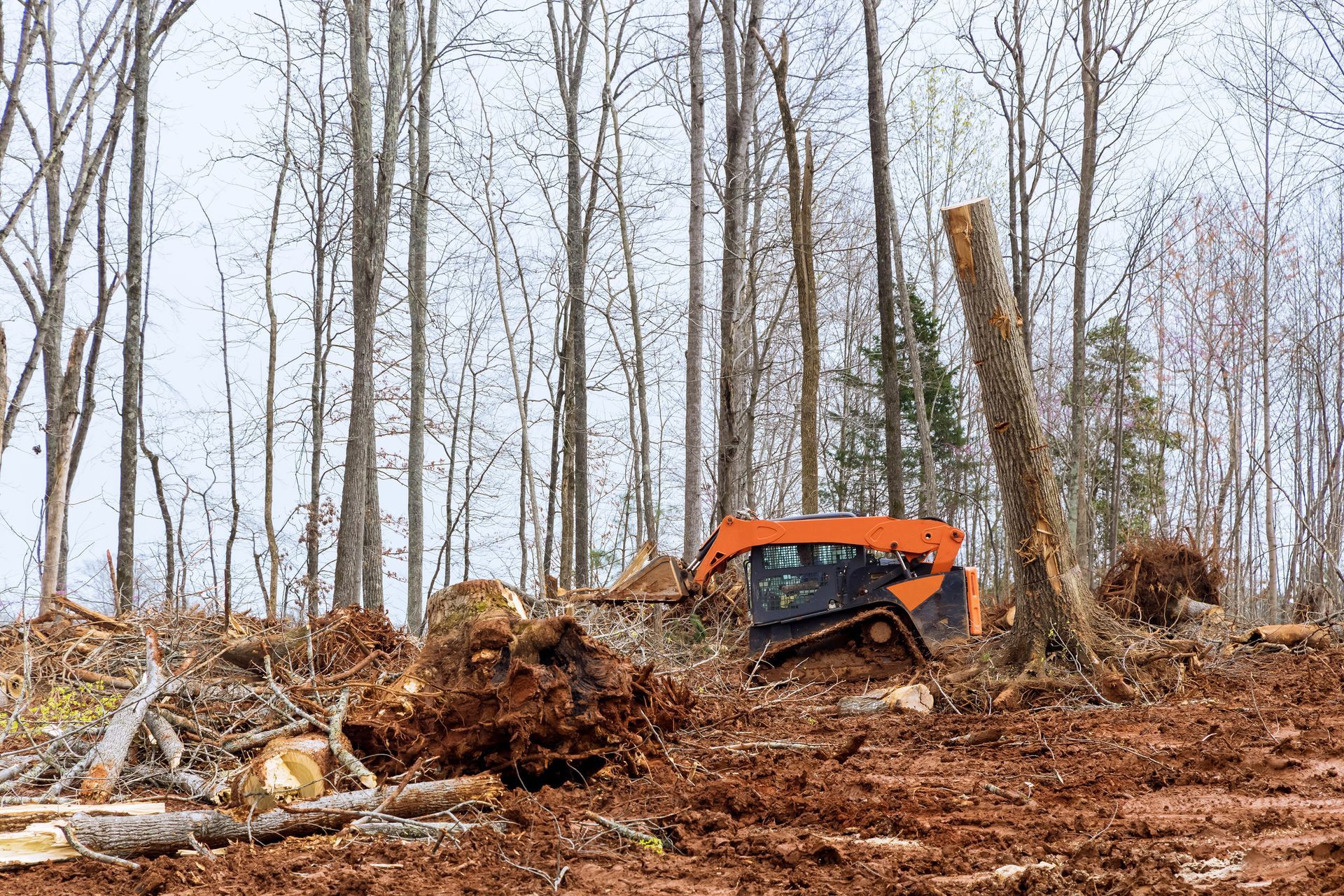 Land Clearing 101