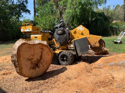 Reg's Tree Service Tree Removal