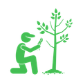 Tree Trimming & Pruning Services near Corona, CA